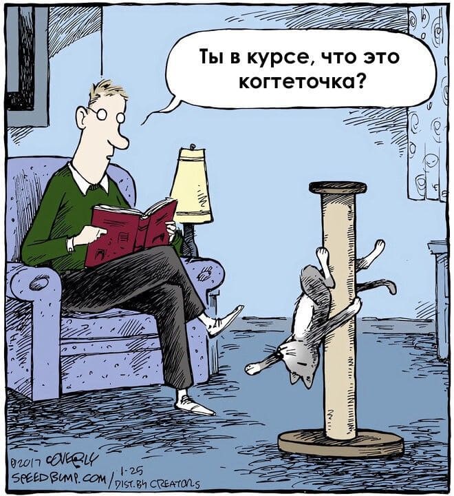 – Ты в курсе, что это когтеточка?