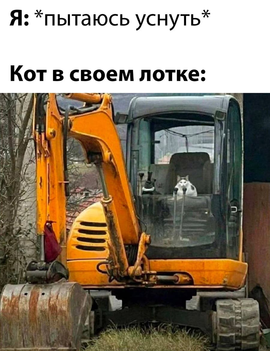 Я: *пытаюсь уснуть*
Кот в своем лотке: *шурует*