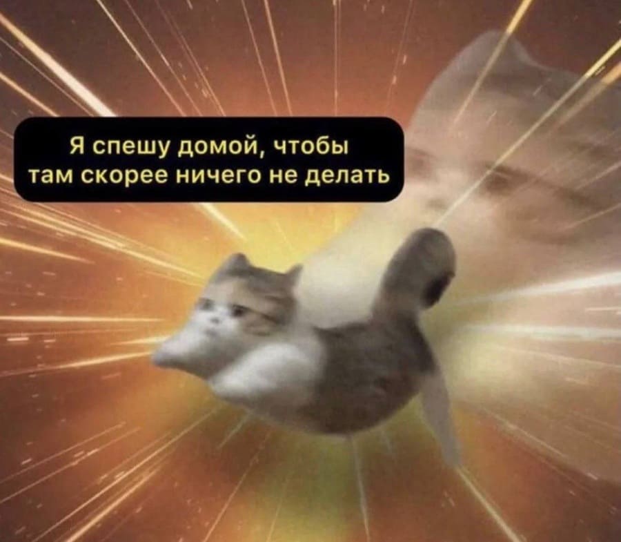 Я спешу домой, чтобы там скорее ничего не делать.