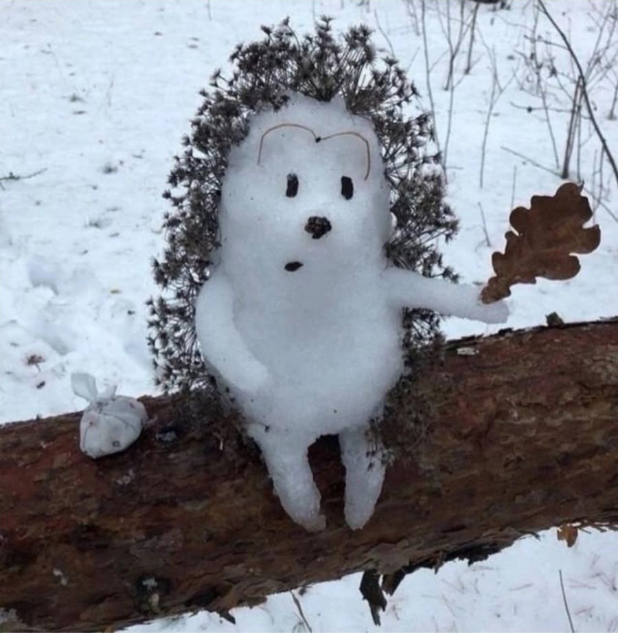 Конечно, это, наверное, лишнее. Но — анекдот: шëл, шëл ëжик по лесу, забыл, как дышать – и (извините за выражение) помер... Так говорила наша учительница по математике...