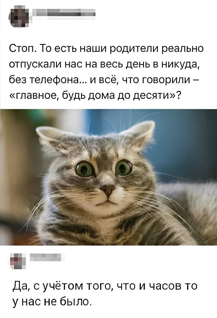 – Стоп. То есть наши родители реально отпускали нас на весь день в никуда, без телефона... и всё, что говорили — «главное, будь дома до десяти»?
– Да, с учётом того, что и часов то у нас не было.