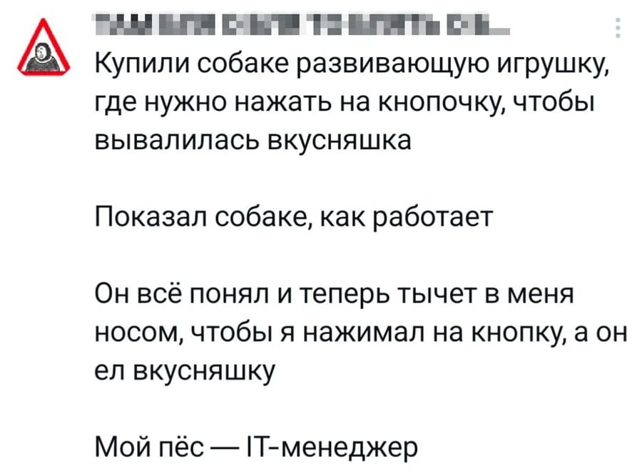 Купили собаке развивающую игрушку, где нужно нажать на кнопочку, чтобы вывалилась вкусняшка. Показал собаке, как работает. Он всё понял и теперь тычет в меня носом, чтобы я нажимал на кнопку, а он ел вкусняшку.
Мой пёс IТ-менеджер.
