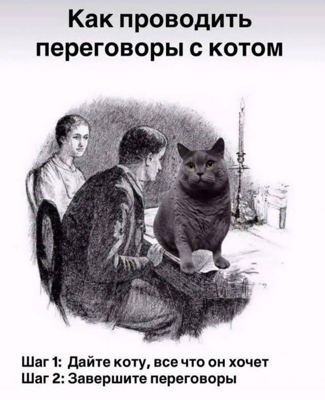 Как проводить переговоры с котом:
Шаг 1: Дайте коту, всё что он хочет.
Шаг 2: Завершите переговоры.