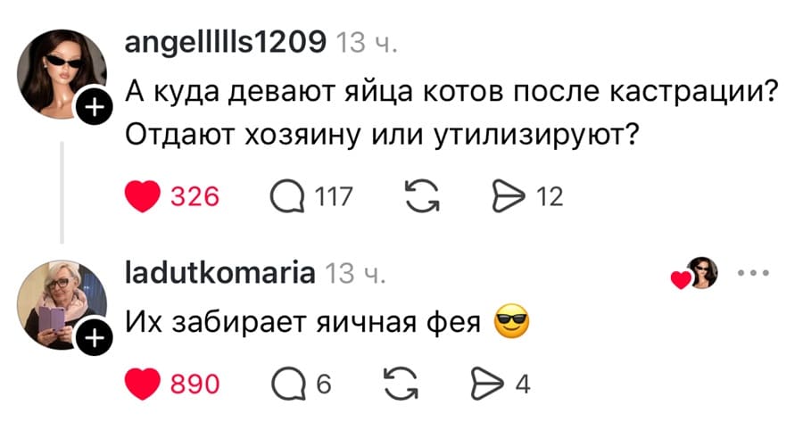– А куда девают яйца котов после кастрации? Отдают хозяину или утилизируют?
– Их забирает яичная фея.