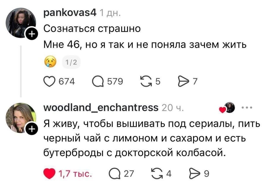 – Сознаться страшно. Мне 46, но я так и не поняла зачем жить.
– Я живу, чтобы вышивать под сериалы, пить черный чай с лимоном и сахаром и есть бутерброды с докторской колбасой.