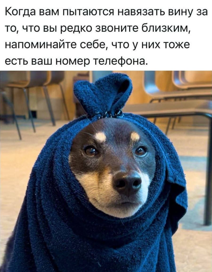 Каждый раз, когда вам пытаются навязать чувство вины за то, что вы редко звоните близким, напоминайте себе, что у них тоже есть ваш номер телефона.