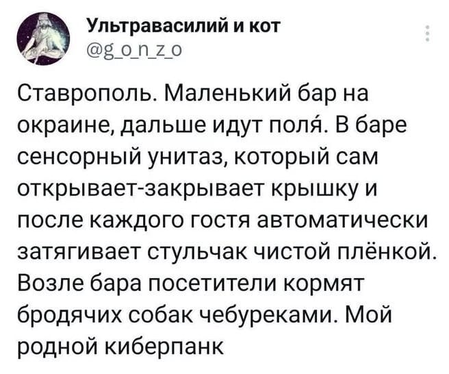 Ставрополь. Маленький бар на окраине, дальше идут поля. В баре сенсорный унитаз, который сам открывает-закрывает крышку и после каждого гостя автоматически затягивает стульчак чистой плёнкой. Возле бара посетители кормят бродячих собак чебуреками. Мой родной киберпанк.