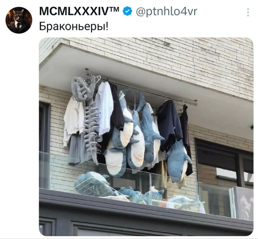 *Браконьеры!*