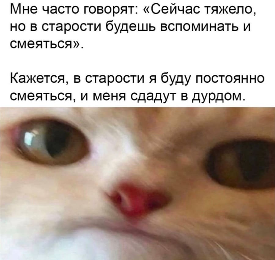 Мне часто говорят: «Сейчас тяжело, но в старости будешь вспоминать и смеяться».
Кажется, в старости я буду постоянно смеяться, и меня сдадут в дурдом.
