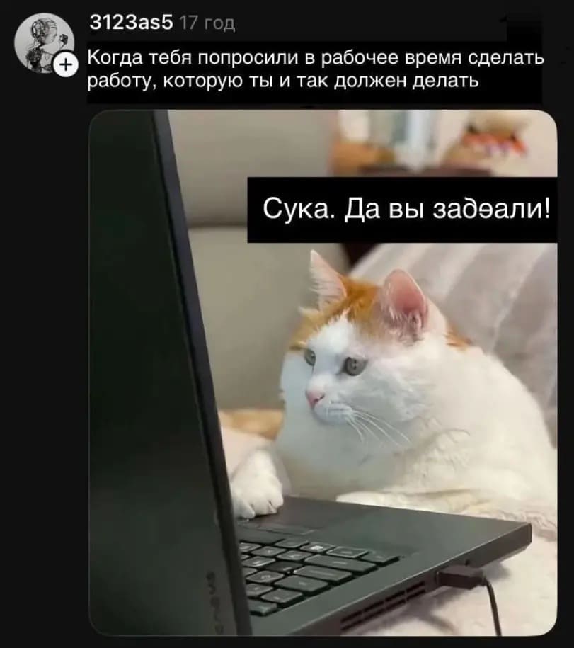 Когда тебя попросили в рабочее время сделать работу, которую ты и так должен делать:
– Сука. да вы за***бали!