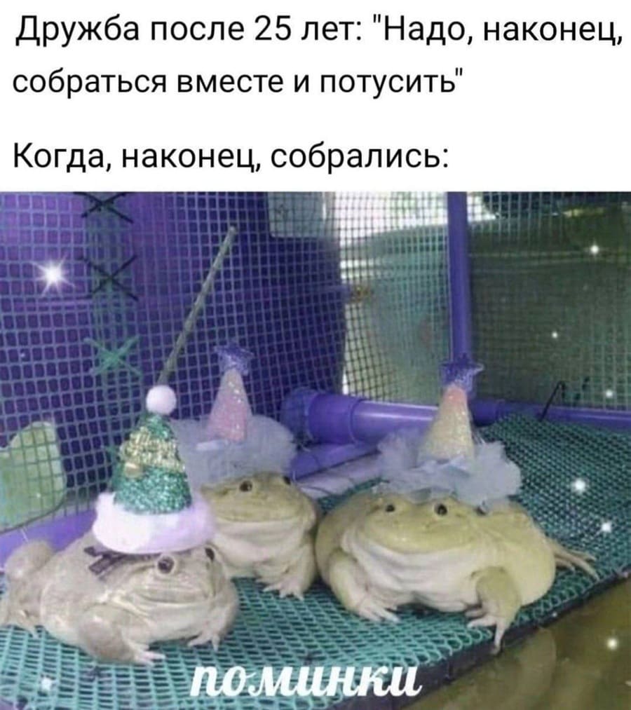 Дружба после 25 лет: «Надо, наконец, собраться вместе и потусить»
Когда, наконец, собрались: *Поминки*