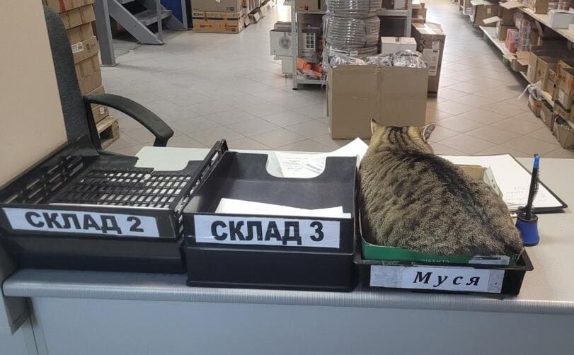 *Склад 2*
*Склад 3*
*Муся*