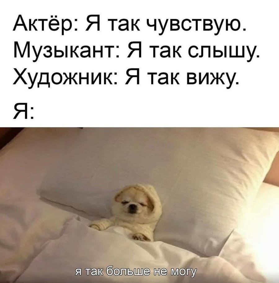 Актёр: Я так чувствую.
Музыкант: Я так слышу.
Художник: Я так вижу.
Я: Я так больше не могу...