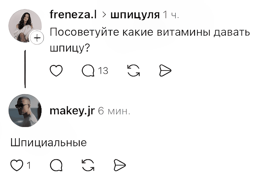 – Посоветуйте, какие витамины давать шпицу?
– Шпициальные.