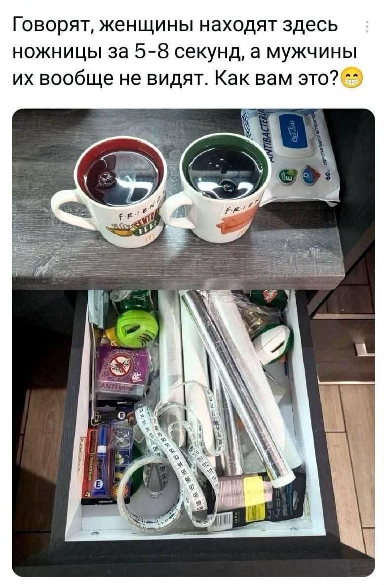 Говорят, женщины находят здесь ножницы за 5-8 секунд, а мужчины их вообще не видят. Как вам это?
