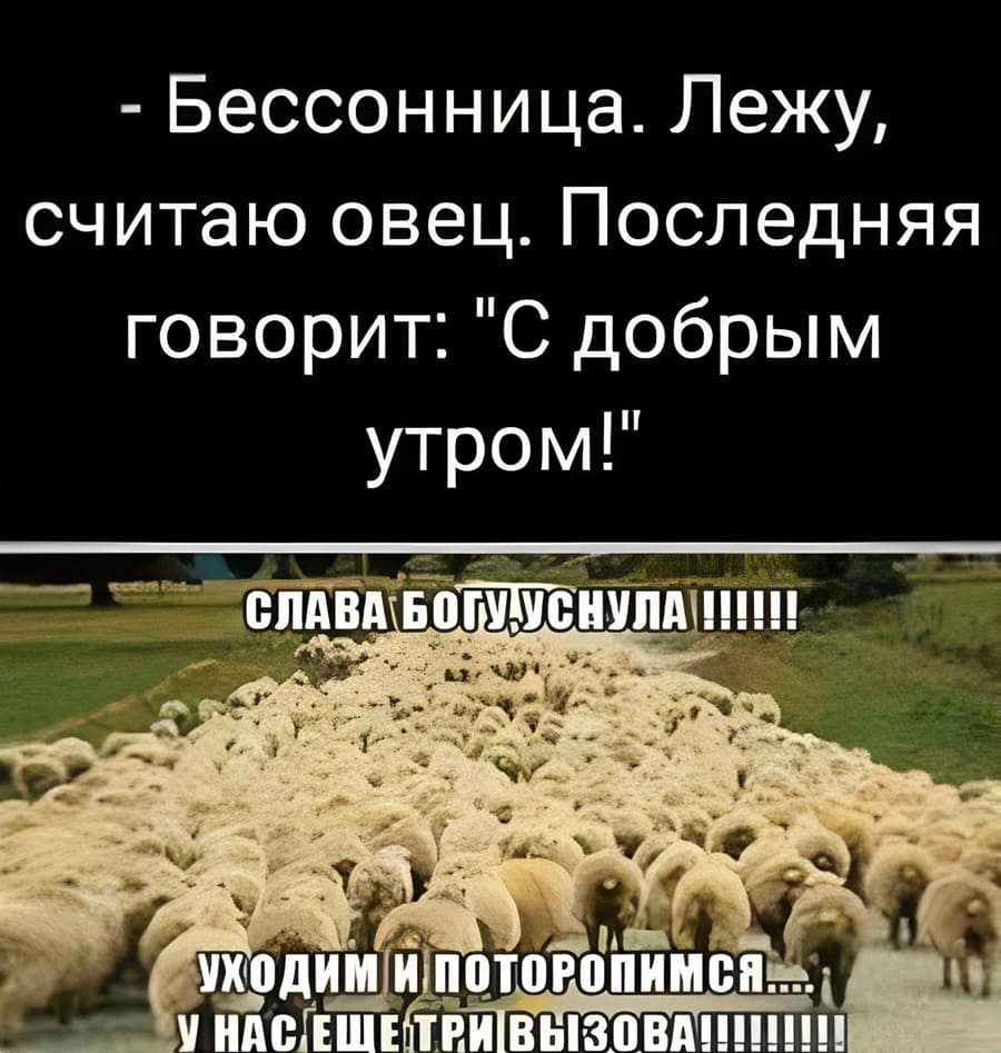 – Бессонница. Лежу, считаю овец. Последняя говорит: «С добрым утром!»
– Слава Богу, уснула!!! Уходим и поторопимся... У нас ещё три вызова!!!