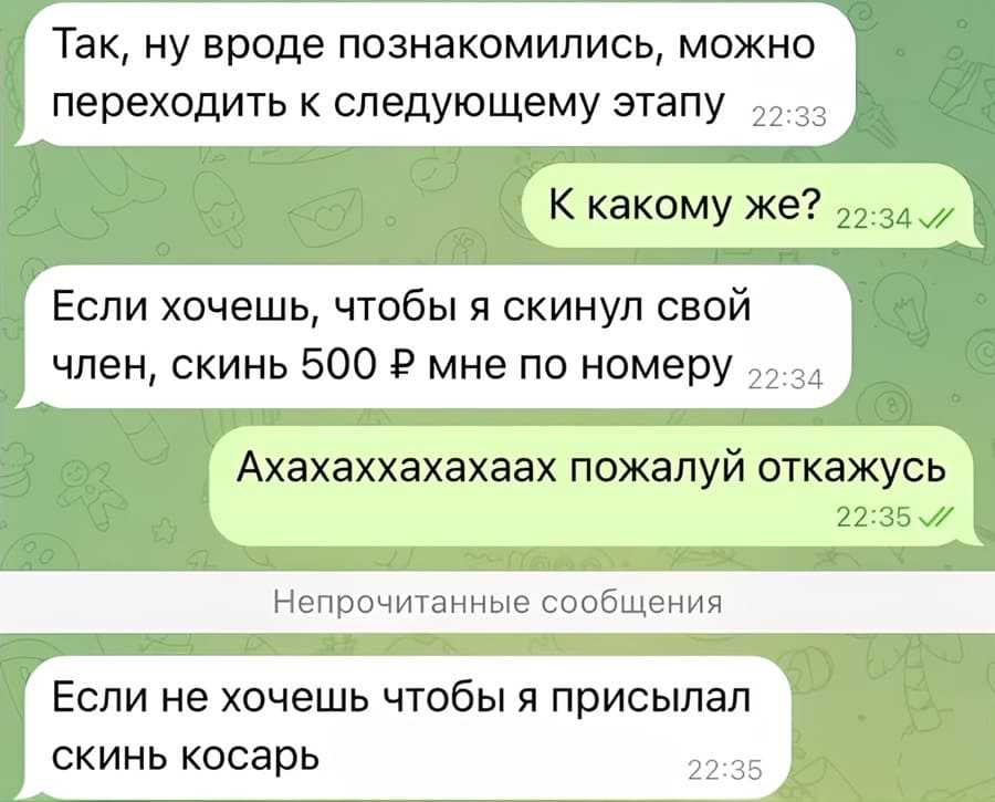– Так, ну вроде познакомились, можно переходить к следующему этапу.
– К какому же?
– Если хочешь, чтобы я скинул свой член, скинь 500 Р мне по номеру.
– Ахахаххахахаах пожалуй откажусь.
– Если не хочешь чтобы я присылал скинь косарь.
