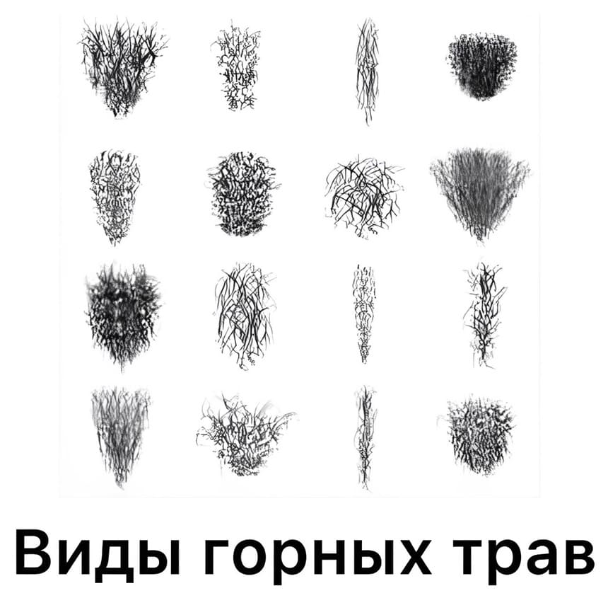 *Виды горных трав*