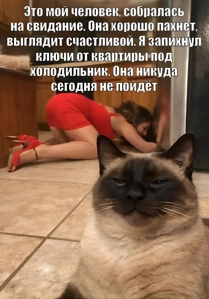 Это мой человек, собралась на свидание. Она хорошо пахнет, выглядит счастливой. Я запихнул ключи от квартиры под холодильник. Она никуда сегодня не пойдёт.