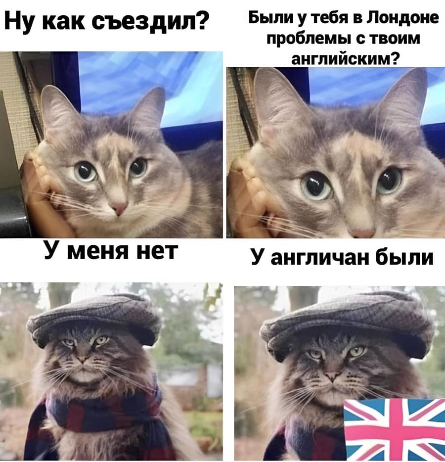 – Ну как съездил? Были у тебя в Лондоне проблемы с твоим английским?
– У меня нет. У англичан были.