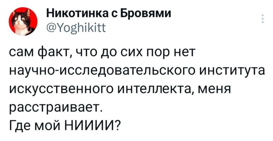 Сам факт, что до сих пор нет научно-исследовательского института искусственного интеллекта, меня расстраивает. Где мой НИИИИ?