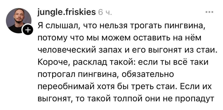 Я слышал, что нельзя трогать пингвина, потому что мы можем оставить на нём человеческий запах и его выгонят из стаи. Короче, расклад такой: если ты всё таки потрогал пингвина, обязательно переобнимай хотя бы треть стаи. Если их выгонят, то такой толпой они не пропадут.