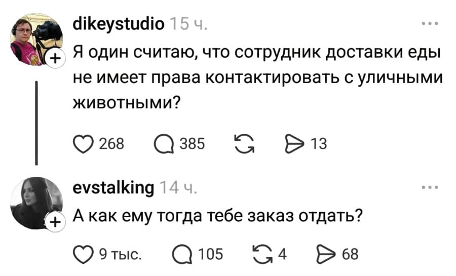 – Я один считаю, что сотрудник доставки еды не имеет права контактировать с уличными животными?
– А как ему тогда тебе заказ отдать?