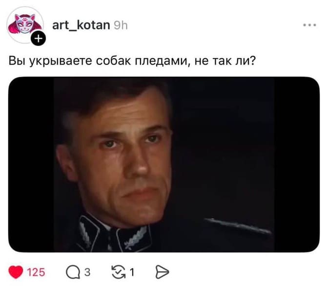 – Вы укрываете собак пледами, не так ли?