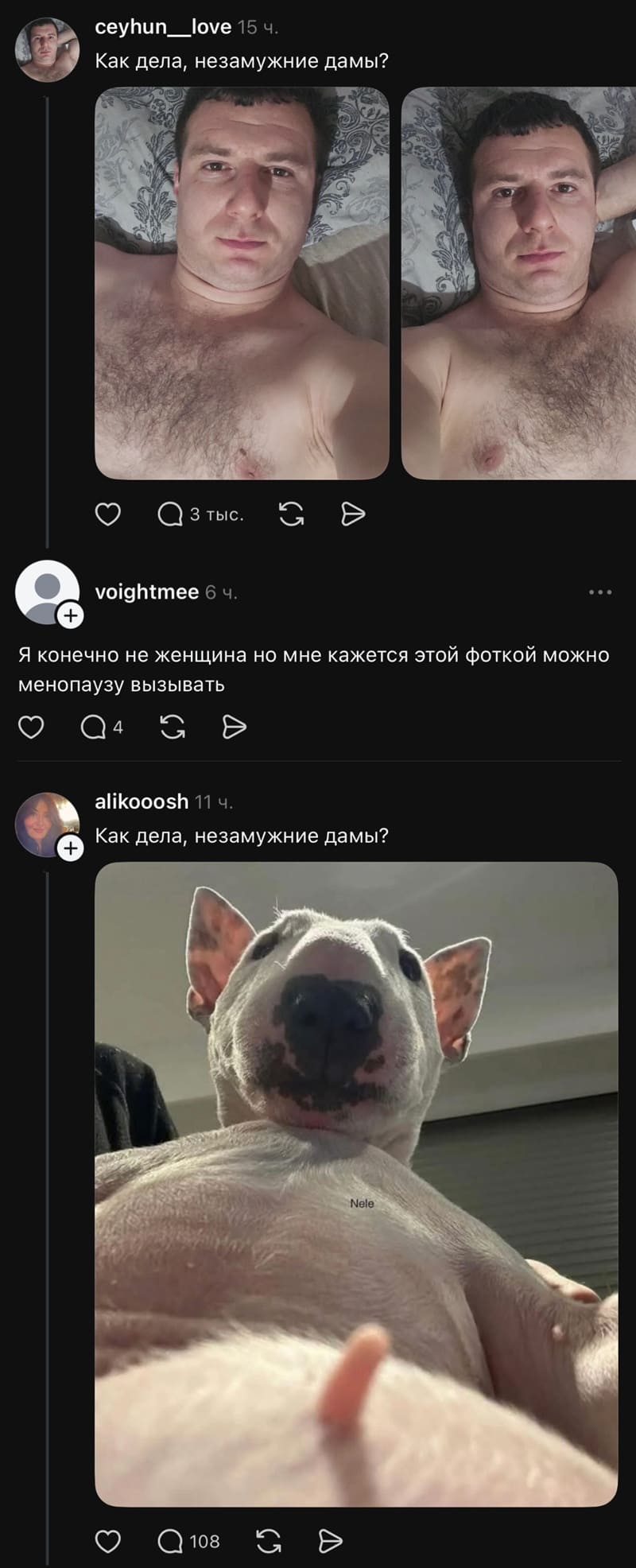– Как дела, незамужние дамы?
– Я конечно не женщина, но мне кажется, что этой фоткой можно менопаузу вызывать.