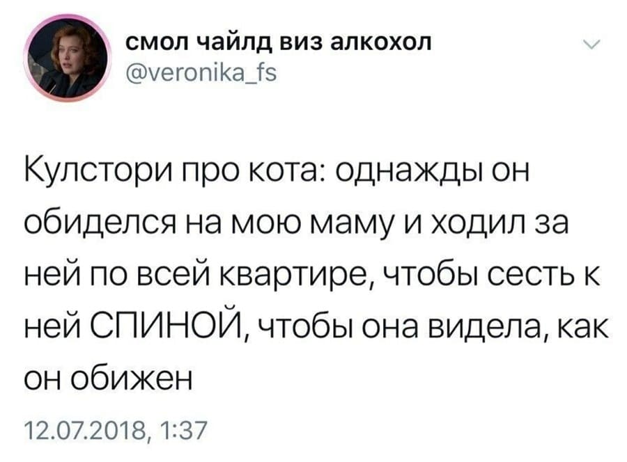 Кулстори про кота: однажды он обиделся на мою маму и ходил за ней по всей квартире, чтобы сесть к ней СПИНОЙ, чтобы она видела, как он обижен.