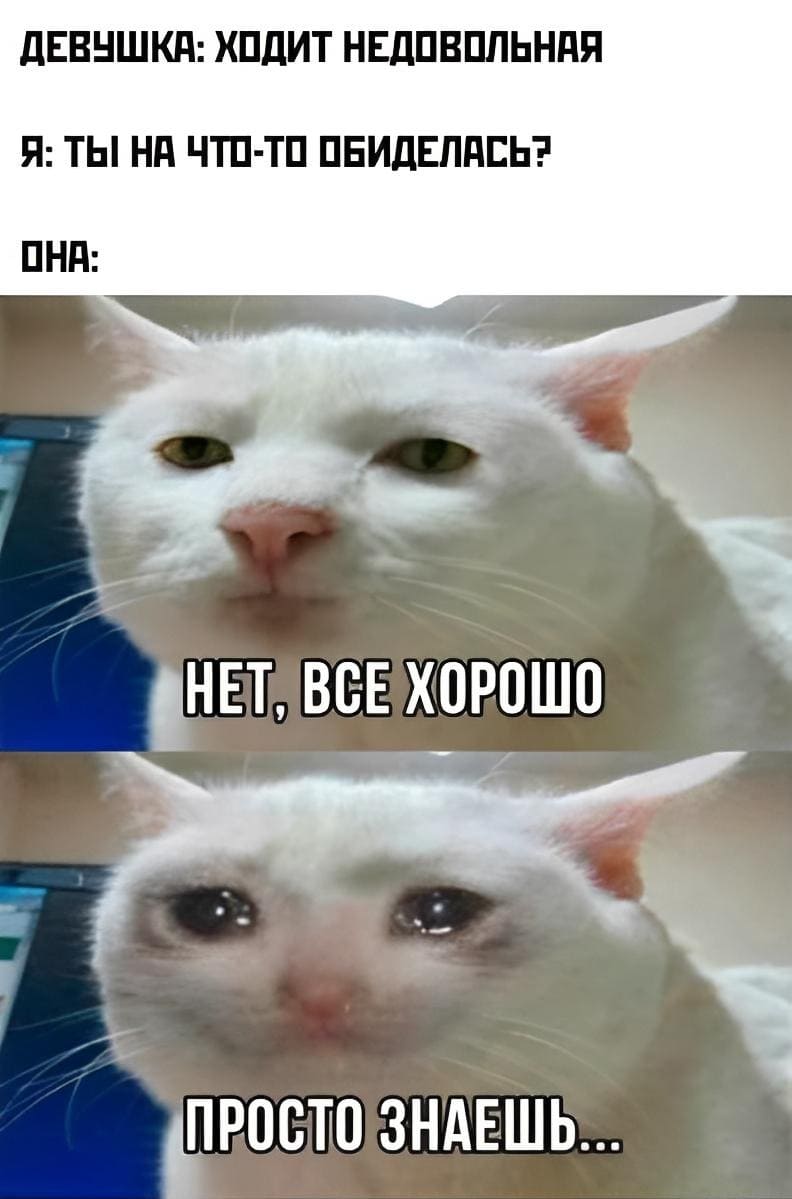 Девушка: *Ходит недовольная*
Я: Ты на что-то обиделась?
Она: Нет... Просто знаешь...
