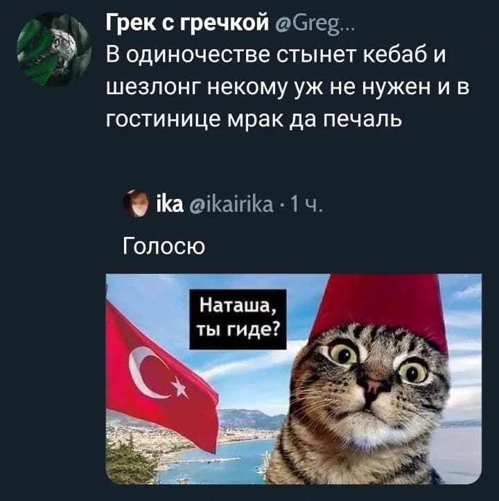 В одиночестве стынет кебаб и
шезлонг некому уж не нужен и в
гостинице мрак да печаль
Голосю: Наташа, ты где?