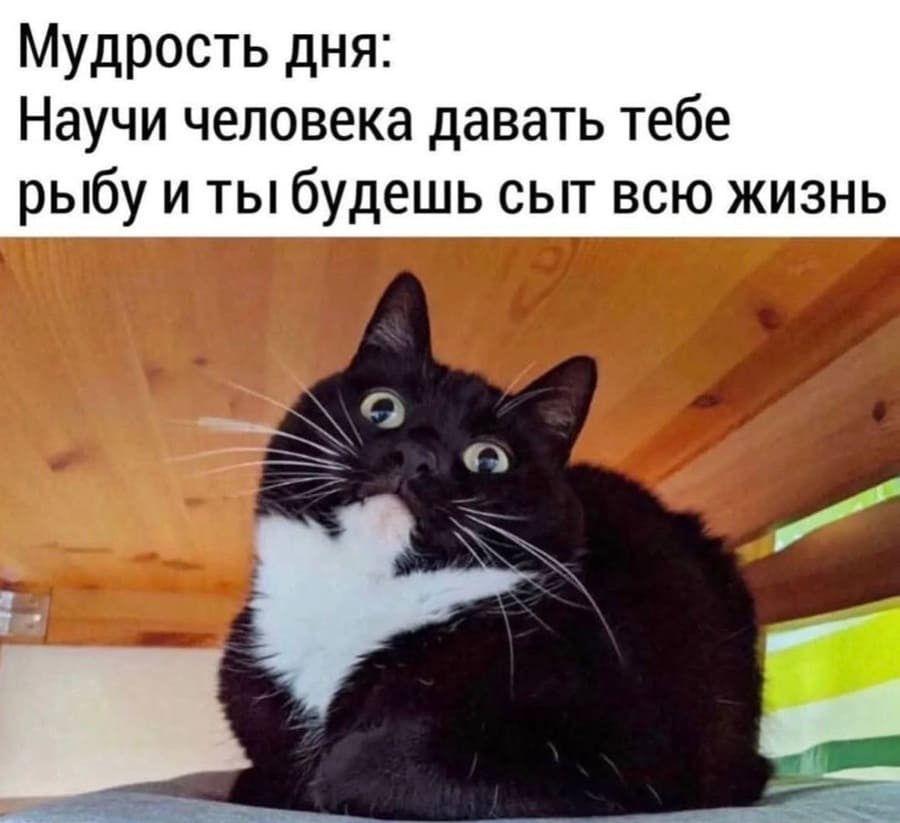 Мудрость дня: Научи человека приносить тебе рыбу и ты будешь сыт всю жизнь.