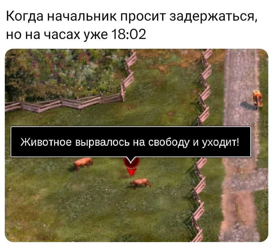 Когда начальник просит задержаться, но на часах уже 18:02
*Животное вырвалось на свободу и уходит!*