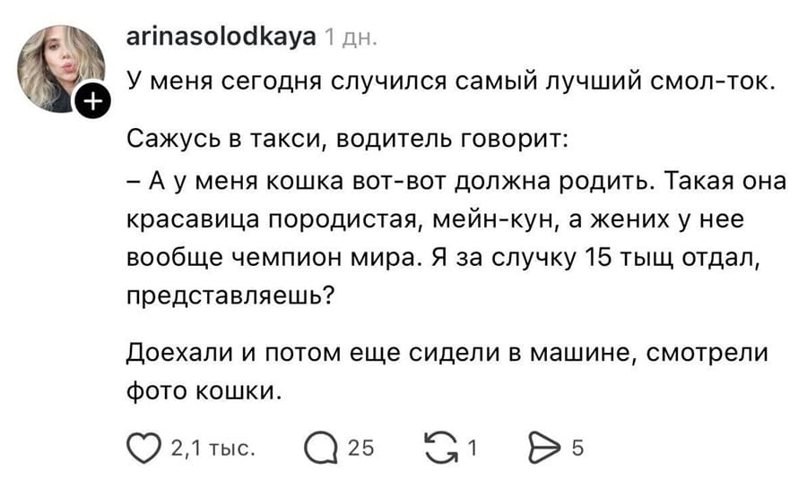 У меня сегодня случился самый лучший смол-ток.
Сажусь в такси, водитель говорит:
— А у меня кошка вот-вот должна родить. Такая она красавица породистая, мейн-кун, а жених у неё вообще чемпион мира. Я за случку 15 тыщ отдал, представляешь?
Доехали и потом еще сидели в машине, смотрели фото кошки.