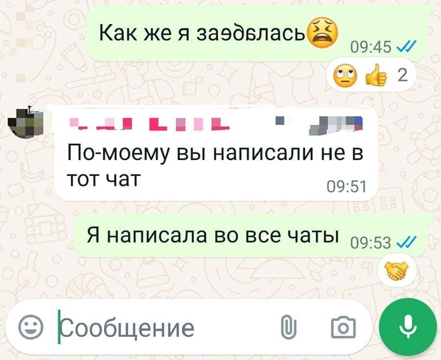 – Как же я заеб*лась.
– По-моему вы написали не в тот чат.
– Я написала во все чаты.