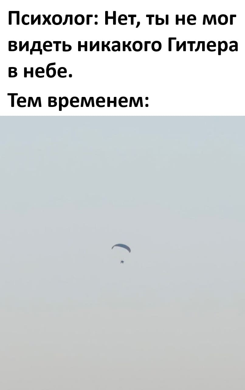 Психолог: Нет, ты не мог видеть никакого Гитлера в небе.
Тем временем: *Силуэт Гитлера*