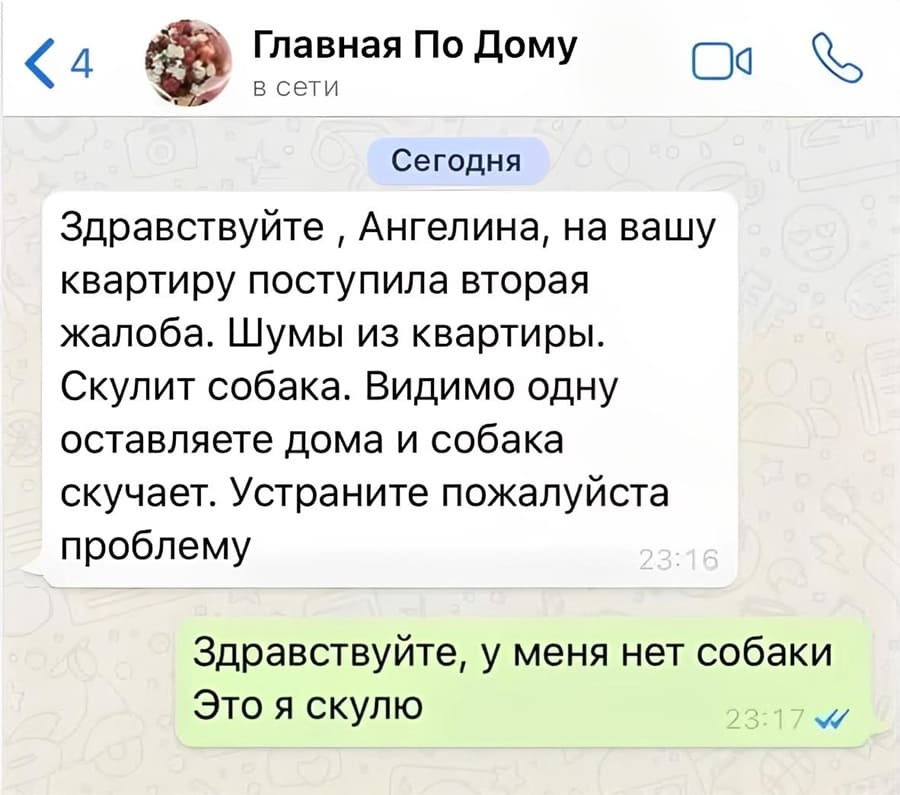 – Здравствуйте, Татьяна, на вашу квартиру поступила вторая жалоба. Шумы из квартиры. Скулит собака. Видимо одну оставляете дома и собака скучает. Устраните пожалуйста проблему.
– Здравствуйте, у меня нет собаки. Это я скулю.