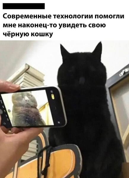 Современные технологии помогли мне наконец-то увидеть свою чёрную кошку.