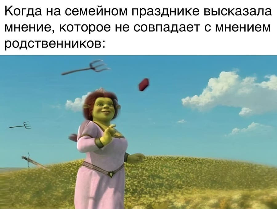 Когда на семейном празднике высказала мнение, которое не совпадает с мнением родственников:
