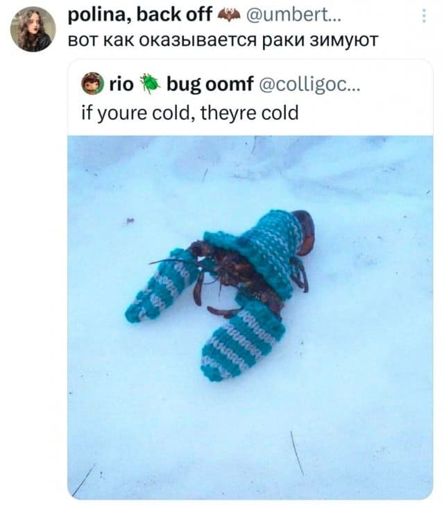 *Вот как оказывается раки зимуют*
