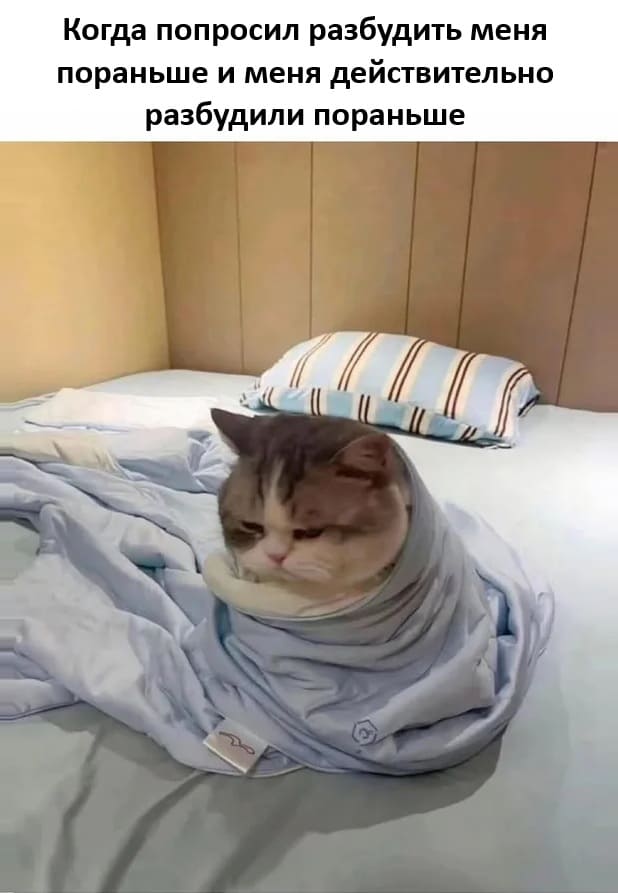 Когда попросил разбудить меня пораньше и меня действительно разбудили пораньше.