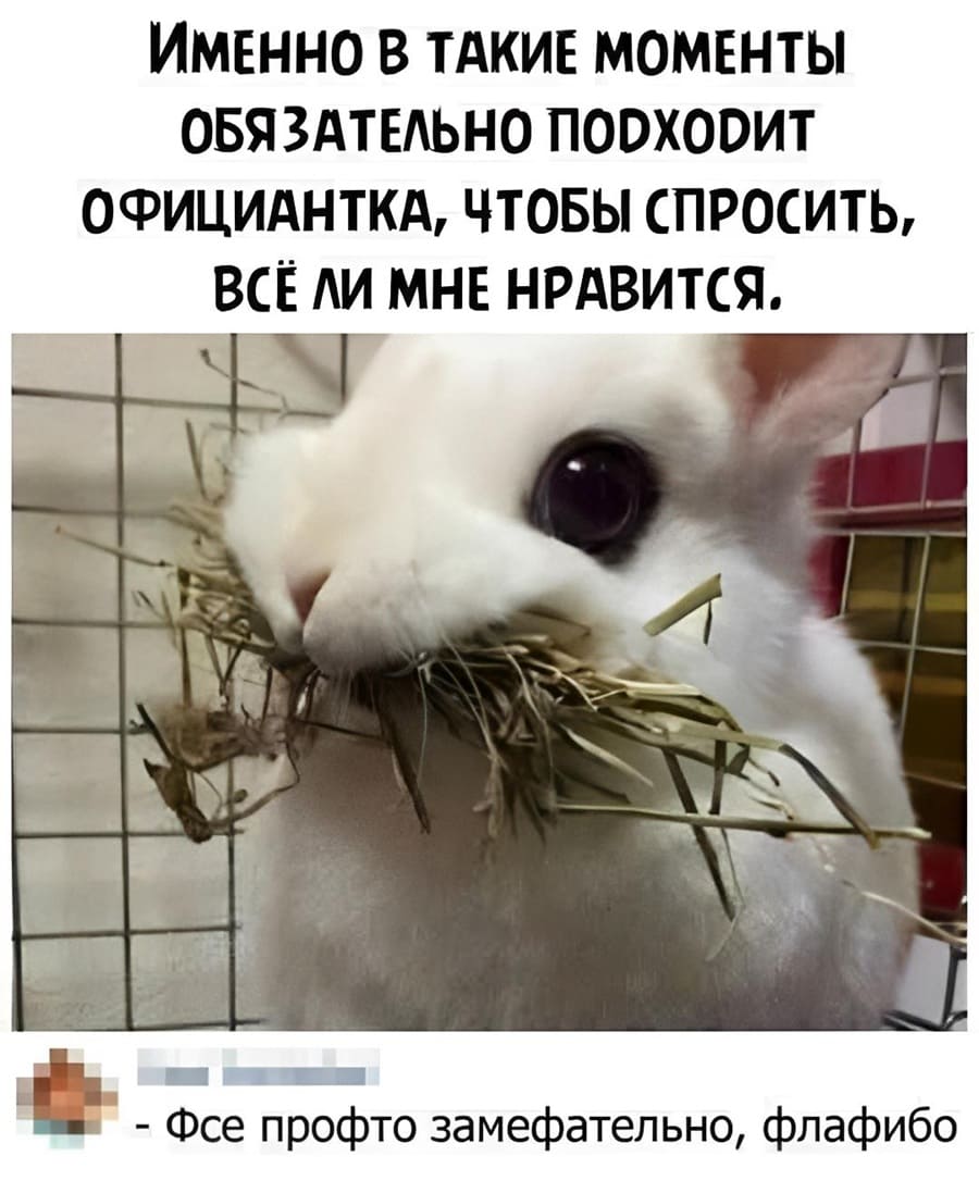 ИМЕННО В ТАКИЕ МОМЕНТЫ ОБЯЗАТЕЛЬНО ПОДХОДИТ ОФИЦИАНТКА, ЧТОБЫ СПРОСИТЬ, ВСЁ ЛИ МНЕ НРАВИТСЯ.
– Фсё профто замефательно, флафибо!