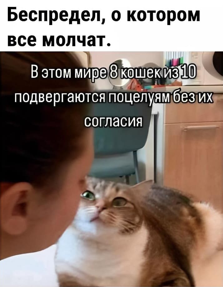 Беспредел, о котором все молчат.
В этом мире 8 кошек из 10 подвергаются поцелуям без их согласия!