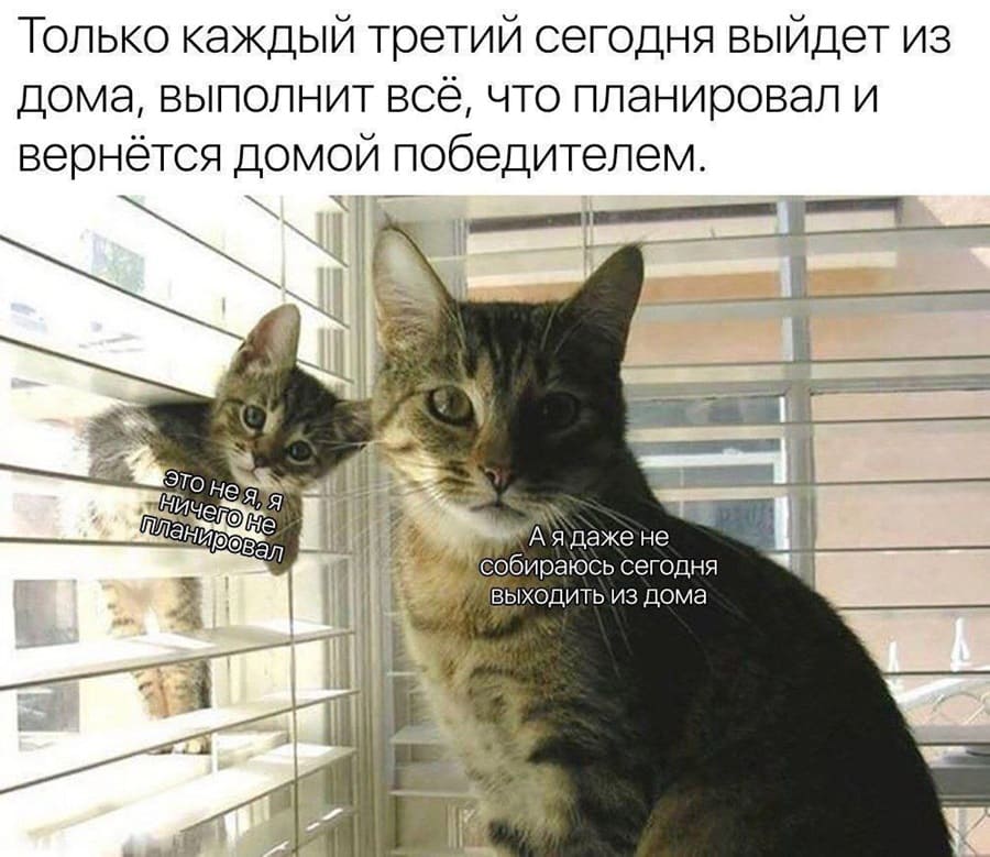 Только каждый третий сегодня выйдет из дома, выполнит всё, что планировал и вернётся домой победителем.
*Это не я, я ничего не планировал*
*А я даже не собираюсь сегодня выходить из дома*