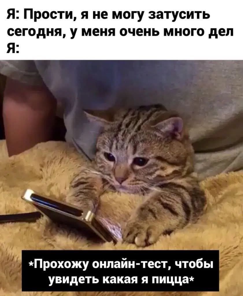 Я: Прости, я не могу затусить сегодня, у меня очень много дел.
Я: *Прохожу онлайн-тест, чтобы увидеть какая я пицца*