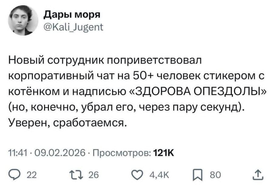 Новый сотрудник поприветствовал корпоративный чат на 50+ человек стикером с котёнком и надписью «ЗДОРОВА ОПЕЗДОЛЫ» (но, конечно, убрал его, через пару секунд). Уверен, сработаемся.