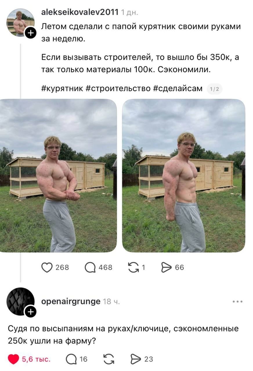 – Летом сделали с лапой курятник своими руками за неделю. Если вызывать строителей, то вышло бы 350к, а так только материалы 100к. Сэкономили. #курятник #строительство #сделайсам
– Судя по высыпаниям на руках/ключице, сэкономленные 250к ушли на фарму?