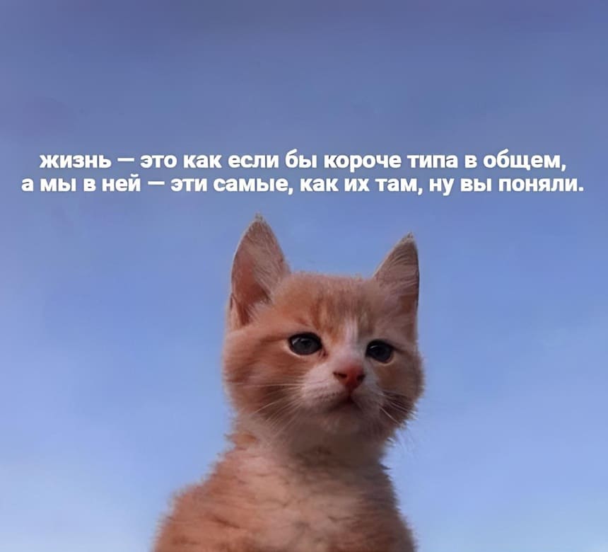 Жизнь — это как если бы короче типа в общем, а мы в ней — эти самые, как их там, ну вы поняли.