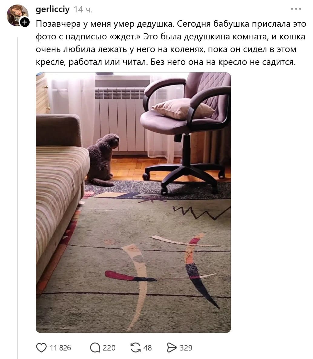 Позавчера у меня умер дедушка. Сегодня бабушка прислала это фото с надписью «ждет.» Это была дедушкина комната, и кошка очень любила лежать у него на коленях, пока он сидел в этом кресле, работал или читал. Без него она на кресло не садится.